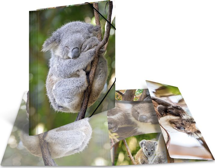 Herma A4 Folder Lesklá Koala