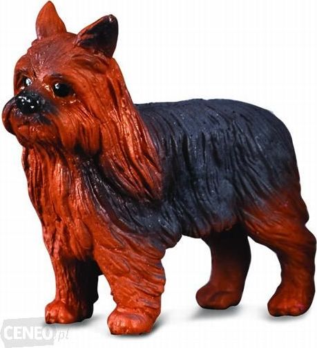 Figurka psa Collecta Yorkshire Terrier