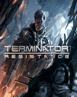ESD Terminator Resistance