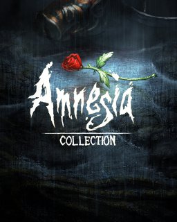ESD Amnesia Collection
