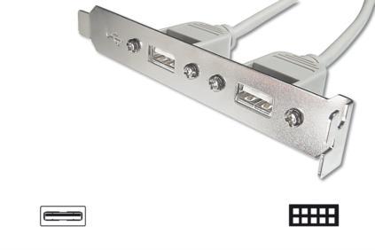 Digitus záslepka slotu s 4 USB porty, kabel 2x 10 Pin 0,25m