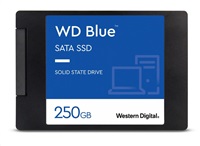 WD Blue SA510 1TB, WDS100T3B0A
